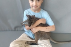 IMG20250513124044