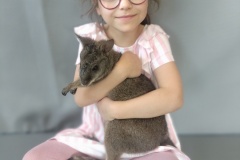 IMG20250513124113