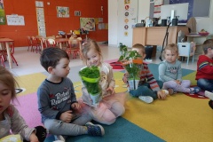 IMG20250404103806