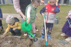 IMG20250415112912