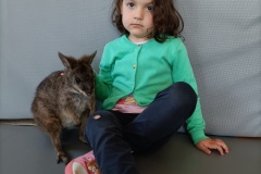 IMG20250513101943