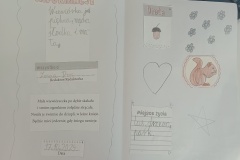 IMG_20241017_144108743_MFNR