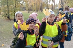 IMG_20241024_134627146_MFNR