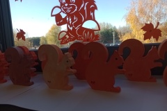 IMG_20241104_110532066_MFNR