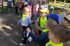 IMG20250527091636