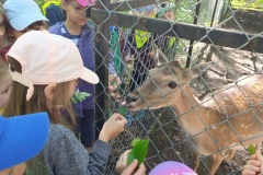 IMG20250527093013