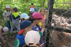 IMG20250527093049