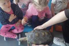 462536907_514457091355344_1270142019740835124_n