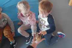 462540212_1227279298526473_5267860827940288905_n