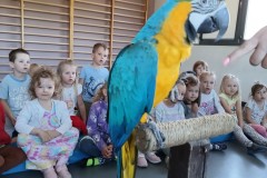 IMG_20240513_094032609
