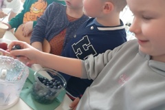 IMG_20250415_105850