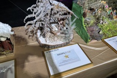 615352473_1278698094280631_9216722357903461818_n