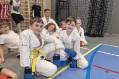 karate