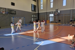 karate2